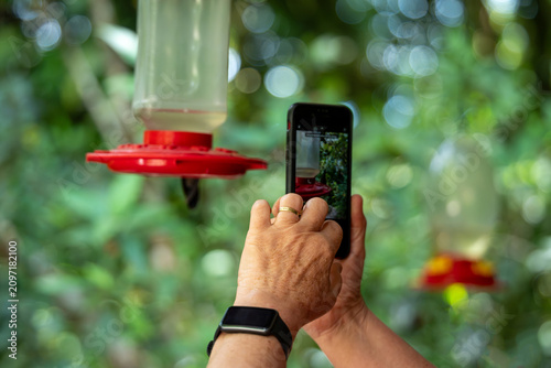 Tourist capturing wildlife moment with phone, exploring Costa Rica's natural beauty