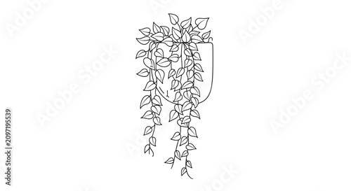 Minimalist black and white line art illustration of a trailing ivy plant growing in a wall mounted pot for home decor.