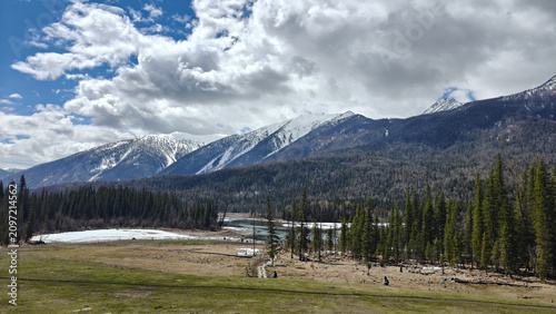Stunning contrast of evergreen pine forest and snow-capped peaks under a blue sky, winter wonderland concept.