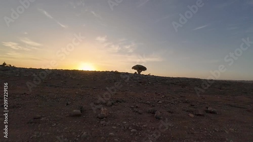 Sunset over rocky desert landscape. Socotra, Yemen.