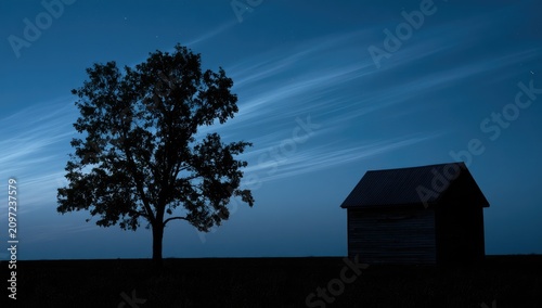 Silhouetted tree and shed under wispy clouds at twilight
