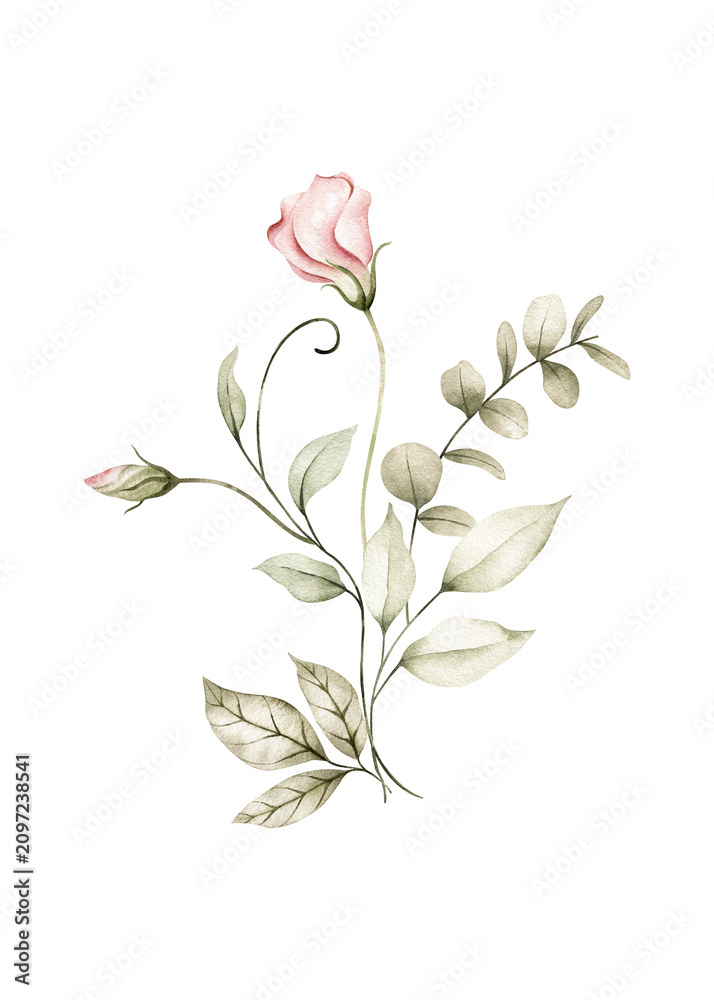 Fototapeta premium Watercolor elegant flower branch illustration element PNG, blush pink bud with eucalyptus greenery clipart, perfect for wedding invitations, cards, wall art
