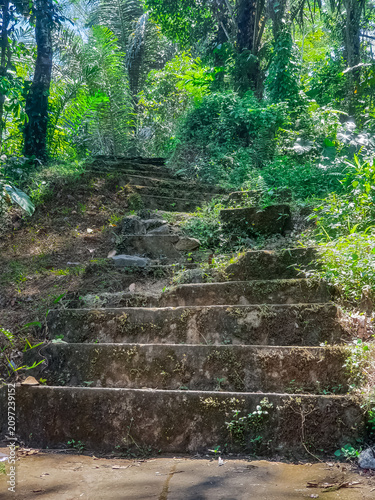 Old weathered stone staircase leading upward through sunlit tropical jungle with palm trees and lush vegetation