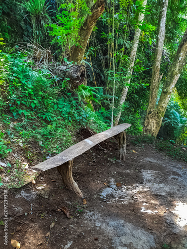 Rustic wooden bench made from tree branches on a jungle hiking trail surrounded by tropical vegetation