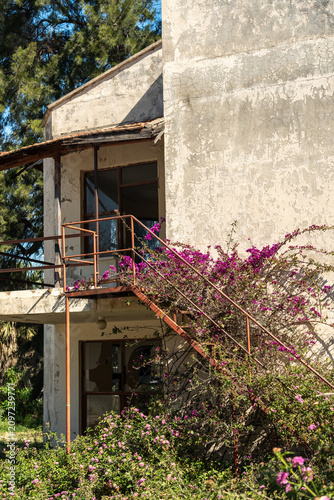 Canvas Print An abandoned overgrown hotel braided with beautiful flowering plants