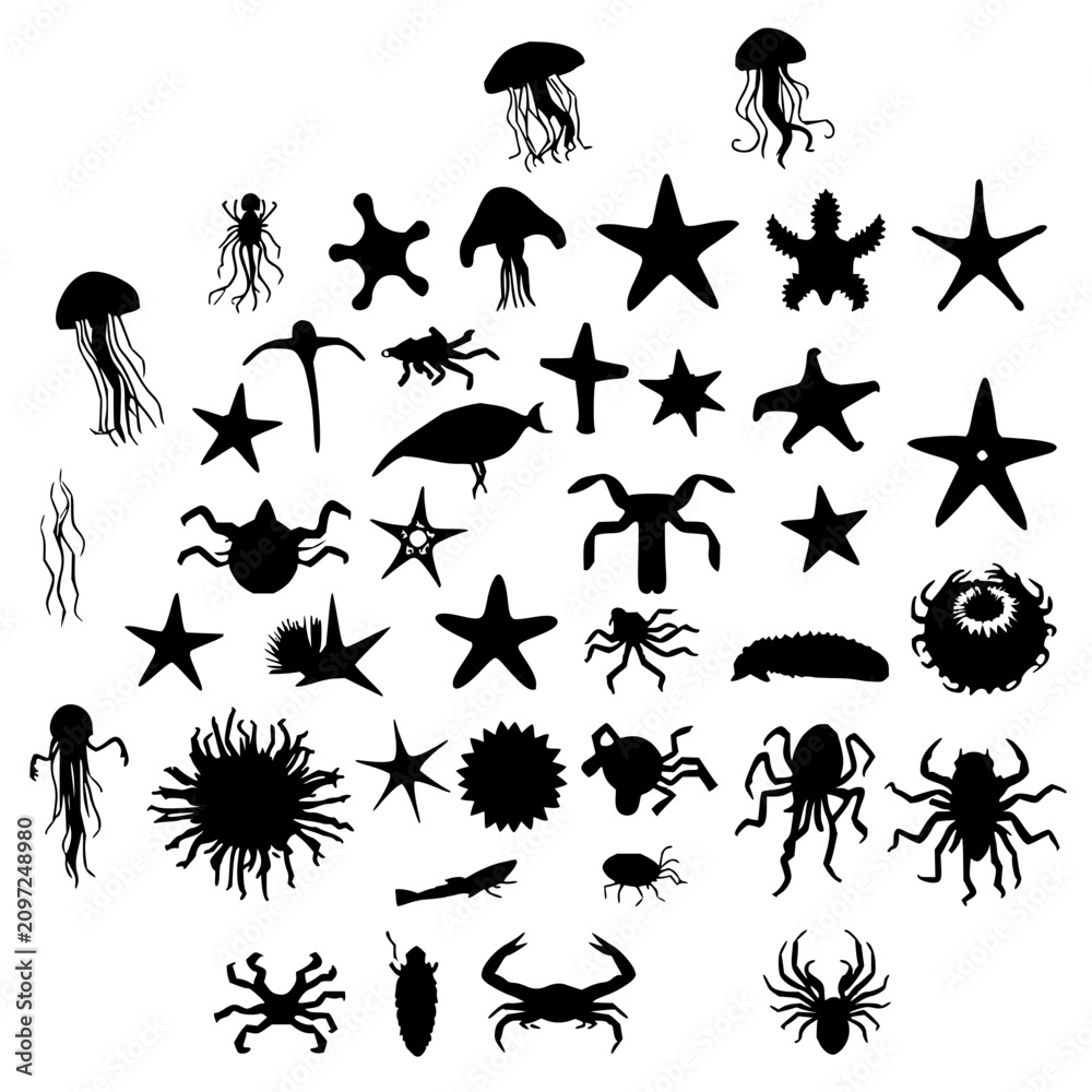 Obraz premium Collection of 24 distinct black and white silhouettes of various marine creatures and organisms, including jellyfish, starfish, sea urchins, crustaceans, and other deep-sea life forms, arranged in ...