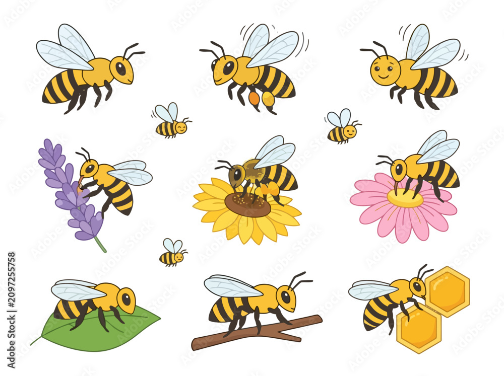 Fototapeta premium A collection of cute cartoon honey bees in various poses and activities.