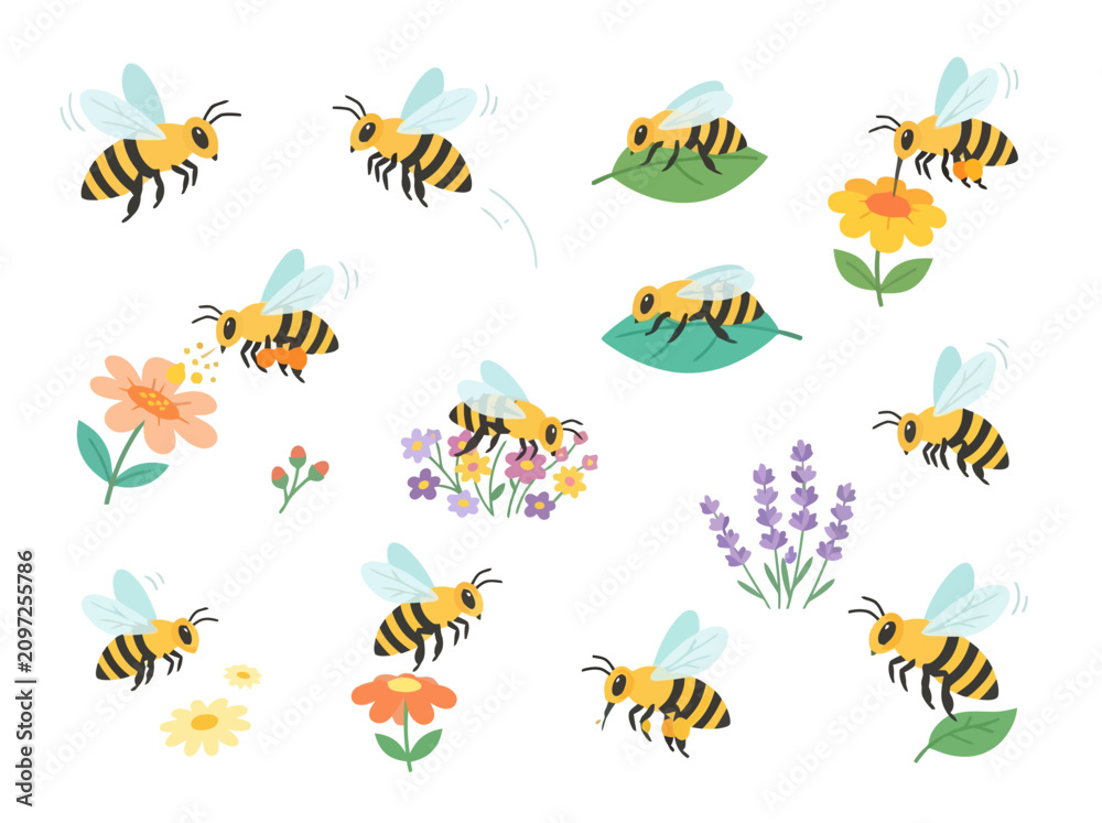 Fototapeta premium Collection of cute cartoon honey bees flying and landing on colorful flowers and green leaves.
