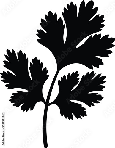 Silhouette design featuring a fresh cilantro herb leaf sprig vector