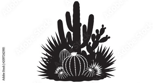 Fotografie Cactus Silhouette Against A White Background A Southwestern Desert Plant Collect