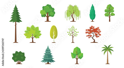 Photos Collection Of Various Tree Types A Flat Vector Illustration On A White Backgroun