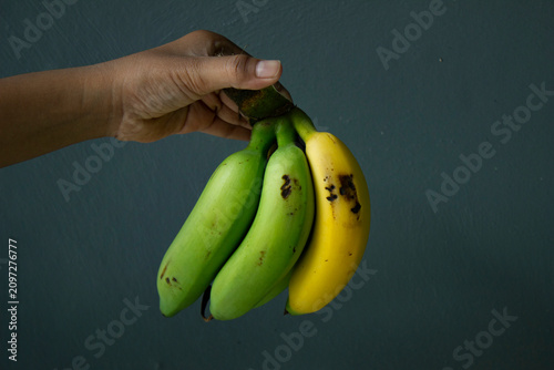 a hand holding a banana that is partly ripe and partly unripe, with a gray background
