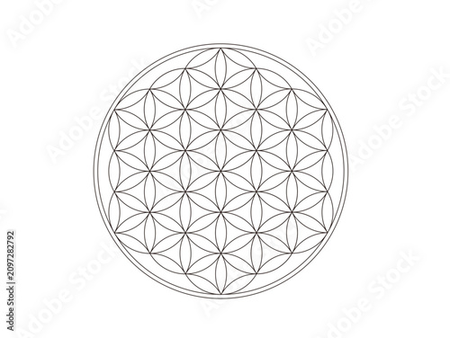 FOL  縦ver.（flower of life）