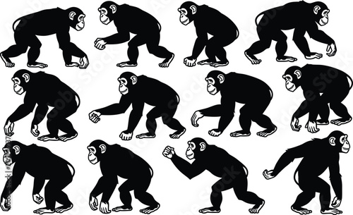 Photography Chimpanzee silhouette collection diverse poses for graphic design and illustrati