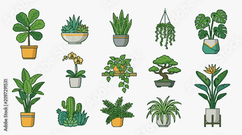 Foto Modern Illustrated Collection of 15 Unique Indoor Plants in Colorful Pots and Pl