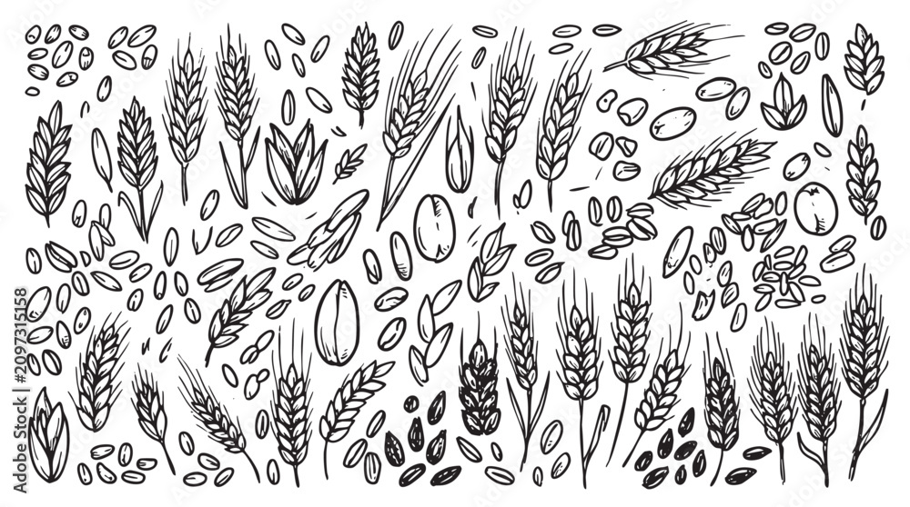 Fototapeta premium Diverse collection of wheat grains, ears, and leaves representing cereal crops.
