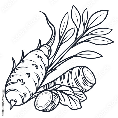 Foto jerusalem artichoke with leaves
