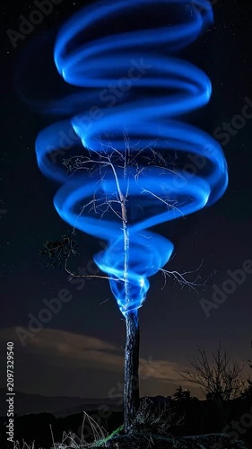 A glowing blue light spiral wraps around a tree at night
