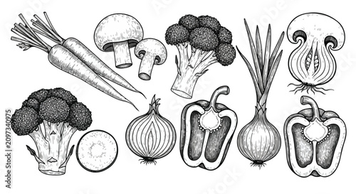 Quadro su tela Vintage hand drawn vegetable collection, engraved sketch of carrots, broccoli, m