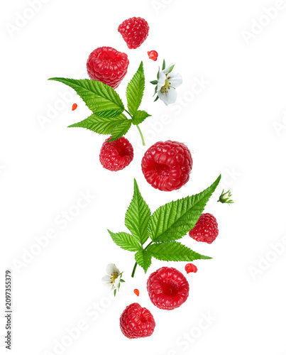 Photography Ripe raspberries with green leaves and flowers in the air isolated on a transpar
