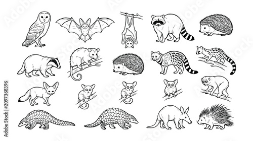 Nocturnal animals line art collection, 19 forest wildlife vector icons, black and white woodland creature illustrations for coloring books