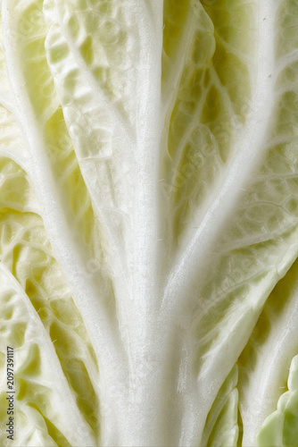 Chinese cabbage, macro. Cabbage background