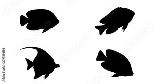 Konstfotografi 70 Four Silhouette Tropical Fish Vector Icons, Aquatic Marine Life Symbols, Unde