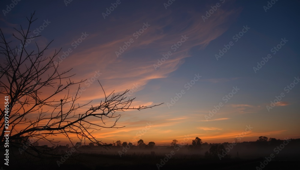 Fototapeta premium Silhouette of Bare Tree Against Colorful Sunset Sky - Tranquil Landscape, Soft Cloud Patterns