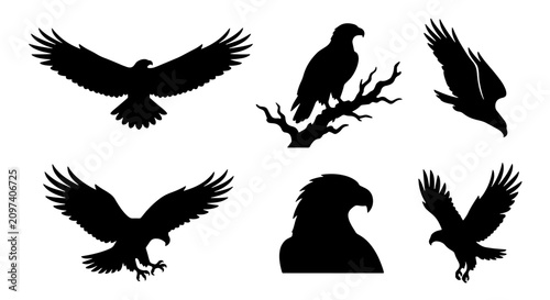 Konstfotografi 70 Eagle Silhouettes Vector Set, Majestic Bird Icons, Predatory Raptor Graphics,