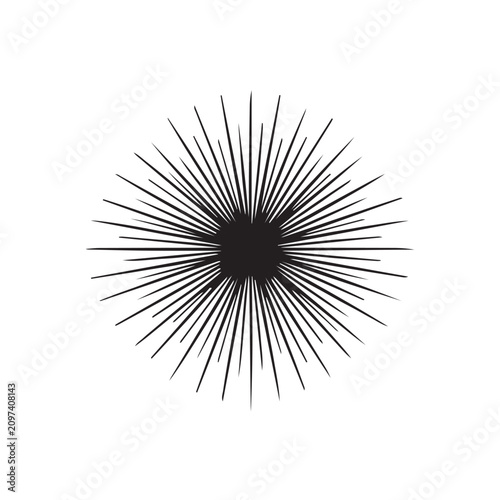Black Radial Line Starburst with Solid Center Icon