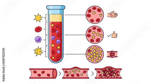 Blood Composition Infographic featuring test tube components and vessel clotting stages ideal for medical education and healthcare blogs.