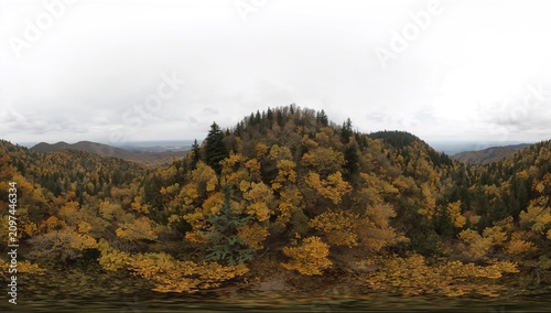 Autumn Forest Panorama with Vibrant Yellow Leaves - Mountainous View, Overcast Sky