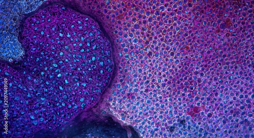 Abstract Closeup of Colorfu...