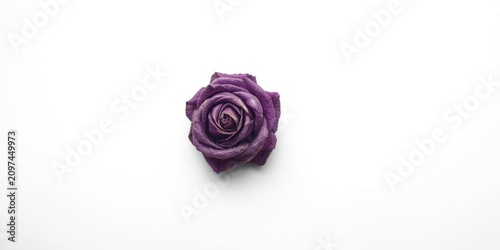minimalist white background...