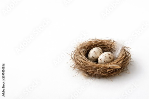 Bird Nest with Two Speckled...