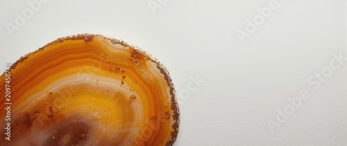 Brown Agate Slice Isolated ...