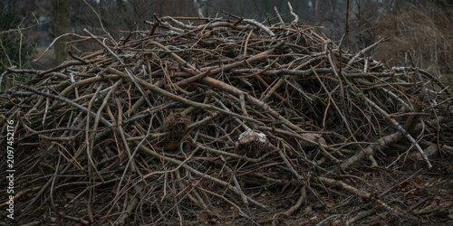 Wood Pile of Twigs and Bran...