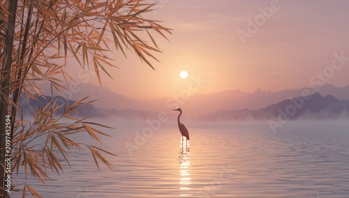 Heron Standing in Calm Wate...