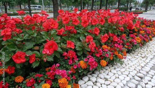 Vibrant Flower Bed with Red...