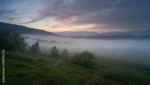 Misty Landscape at Dawn wit...