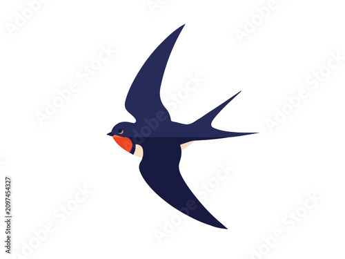 Elegant Flying Barn Swallow Bird Illustration Isolated on White Background for Nature and Spring Design
