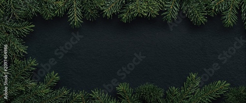Fresh Green Pine Branches F...