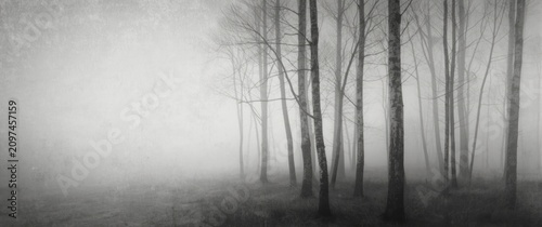 Impressionist vertical blur...