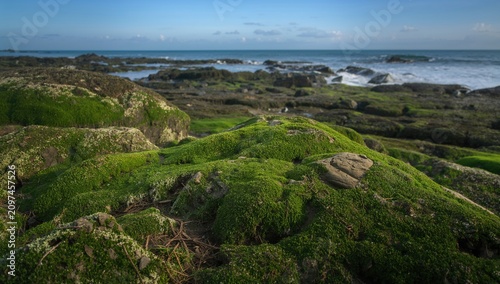 Moss Covered Rocks by the O...