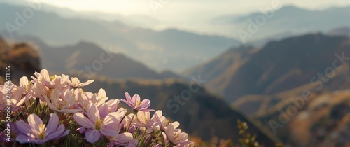Wildflowers Blooming on a M...