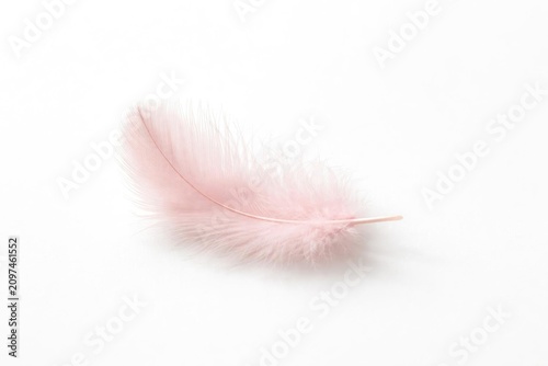 Soft Pink Feather Isolated ...