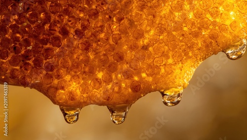 Honeycomb with Droplets in ...