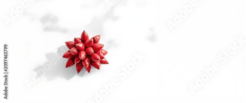 Red Succulent Arrangement I...