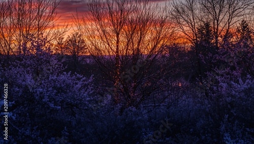 Winter Sunrise Over Silhoue...