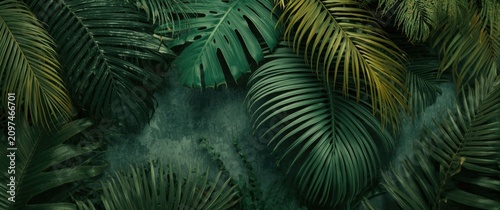 Tropical Greenery Backgroun...